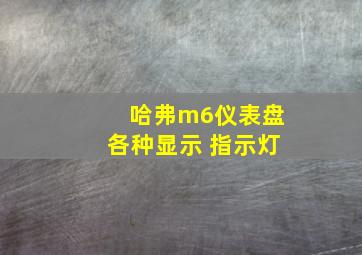 哈弗m6仪表盘各种显示 指示灯